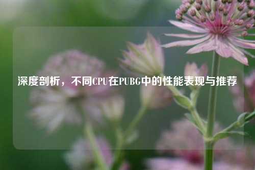 深度剖析，不同CPU在PUBG中的性能表现与推荐