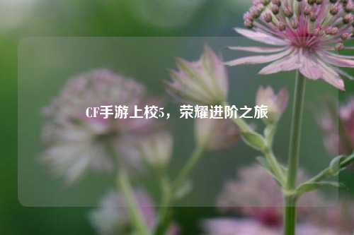 CF手游上校5,荣耀进阶之旅