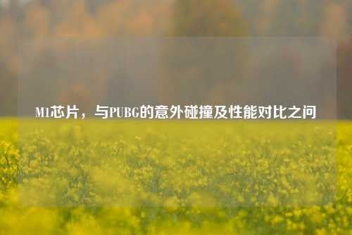 M1芯片，与PUBG的意外碰撞及性能对比之问
