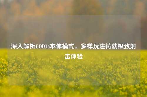 深入解析COD16本体模式，多样玩法铸就极致射击体验