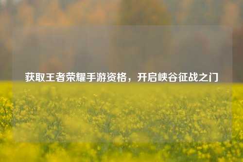 获取王者荣耀手游资格，开启峡谷征战之门