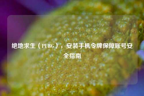 绝地求生（PUBG），安装手机令牌保障账号安全指南