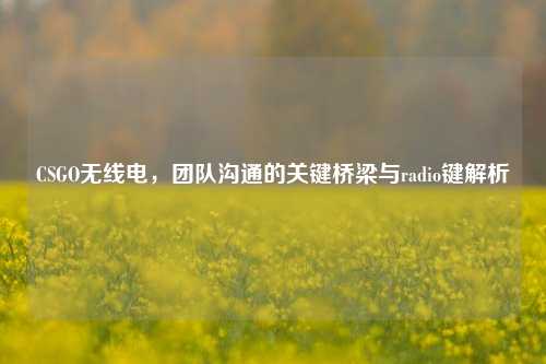 CSGO无线电,团队沟通的关键桥梁与radio键解析