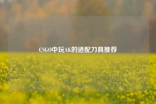 CSGO中玩AK的适配刀具推荐
