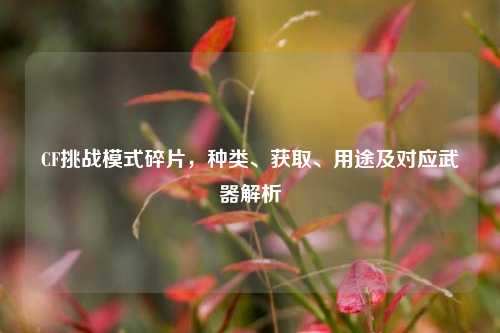 CF挑战模式碎片,种类、获取、用途及对应武器解析