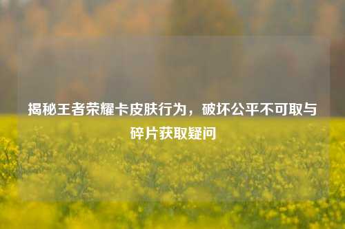 揭秘王者荣耀卡皮肤行为，破坏公平不可取与碎片获取疑问