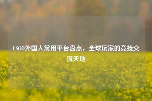 CSGO外国人常用平台盘点，全球玩家的竞技交流天地