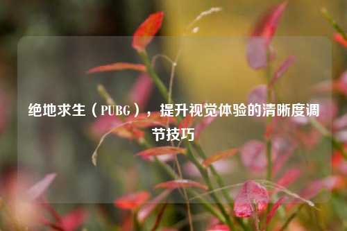 绝地求生（PUBG），提升视觉体验的清晰度调节技巧