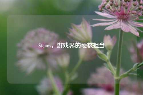 Steam，游戏界的硬核担当