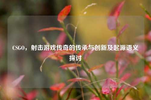 CSGO,射击游戏传奇的传承与创新及起源语义探讨