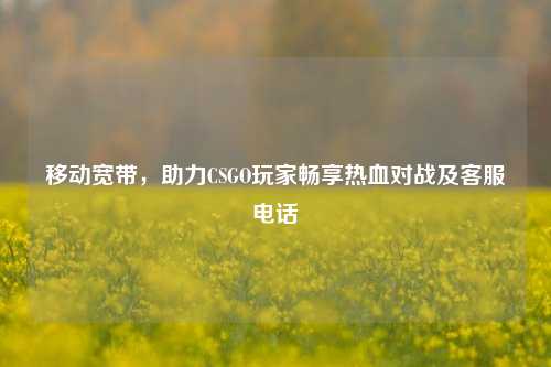 移动宽带,助力CSGO玩家畅享热血对战及客服电话