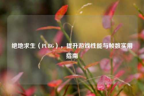 绝地求生(PUBG),提升游戏性能与帧数实用指南