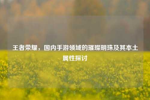 王者荣耀,国内手游领域的璀璨明珠及其本土属性探讨