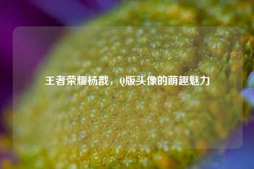 王者荣耀杨戬，Q版头像的萌趣魅力