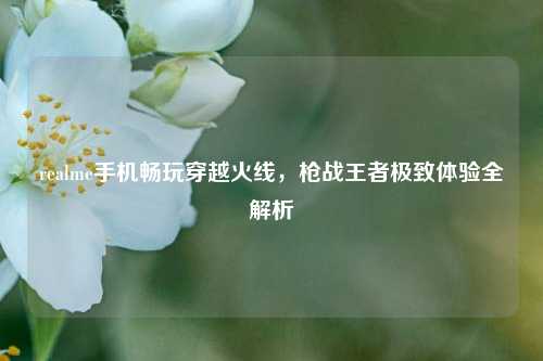 realme手机畅玩穿越火线，枪战王者极致体验全解析