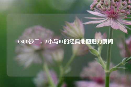 CSGO沙二,A小与B1的经典地图魅力瞬间