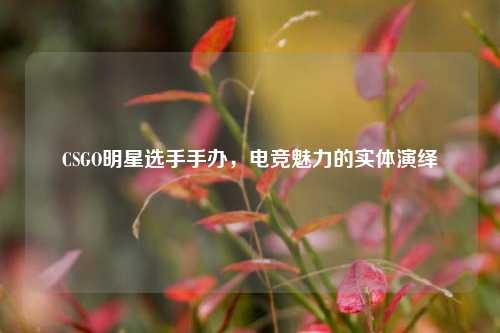 CSGO明星选手手办，电竞魅力的实体演绎