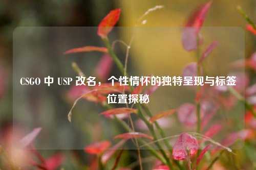 CSGO 中 USP 改名，个性情怀的独特呈现与标签位置探秘