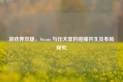 游戏界双雄,Steam 与任天堂的碰撞共生及布局探究