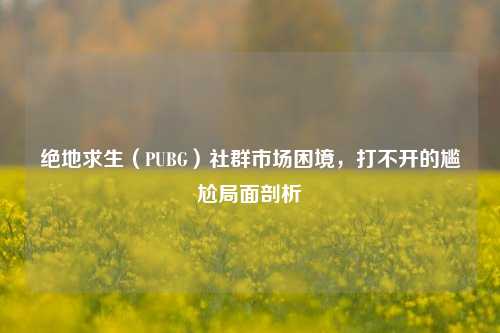 绝地求生（PUBG）社群市场困境，打不开的尴尬局面剖析