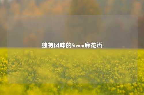 独特风味的Steam麻花辫