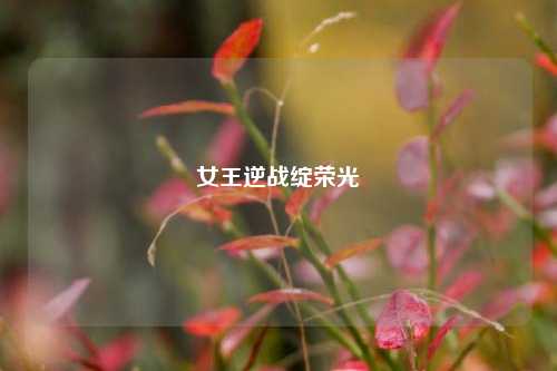 女王逆战绽荣光