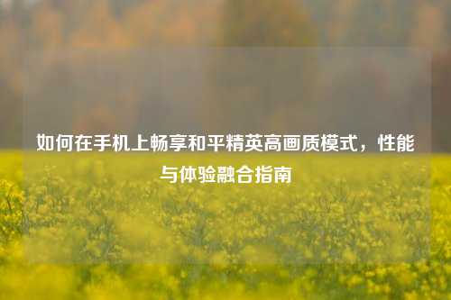 如何在手机上畅享和平精英高画质模式，性能与体验融合指南