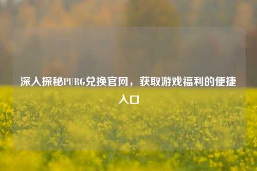 深入探秘PUBG兑换官网，获取游戏福利的便捷入口