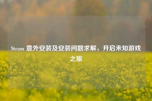 Steam 意外安装及安装问题求解，开启未知游戏之旅