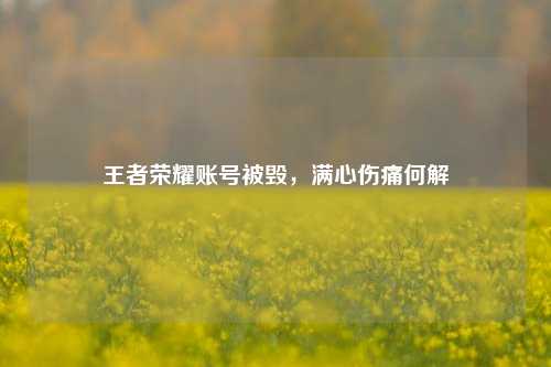 王者荣耀账号被毁，满心伤痛何解