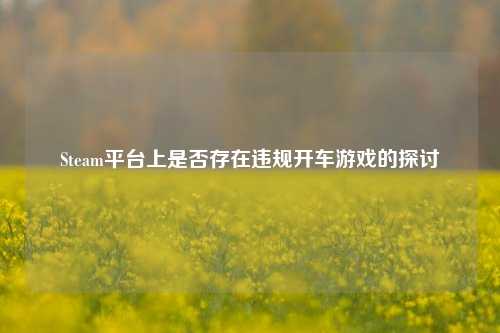 Steam平台上是否存在违规开车游戏的探讨