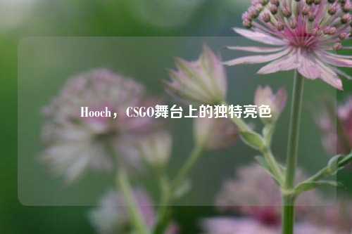 Hooch，CSGO舞台上的独特亮色