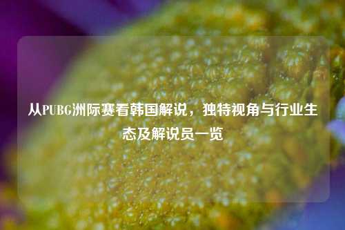 从PUBG洲际赛看韩国解说，独特视角与行业生态及解说员一览