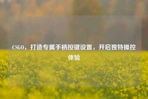 CSGO，打造专属手柄按键设置，开启独特操控体验