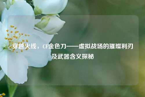 穿越火线,CF金色刀——虚拟战场的璀璨利刃及武器含义探秘