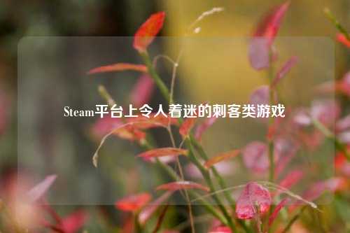 Steam平台上令人着迷的刺客类游戏