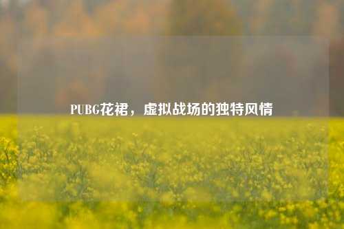 PUBG花裙，虚拟战场的独特风情
