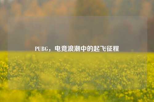 PUBG，电竞浪潮中的起飞征程