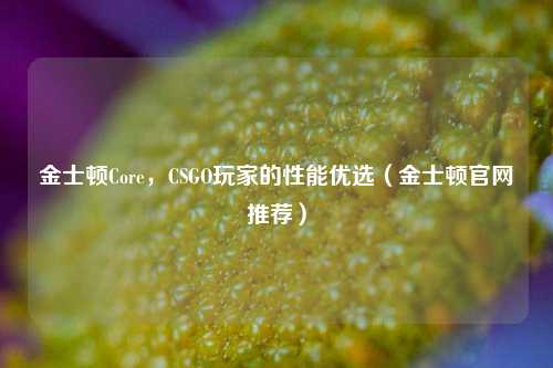 金士顿Core,CSGO玩家的性能优选(金士顿官网推荐)