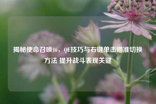 揭秘使命召唤16,QE技巧与右键单击瞄准切换方法 提升战斗表现关键