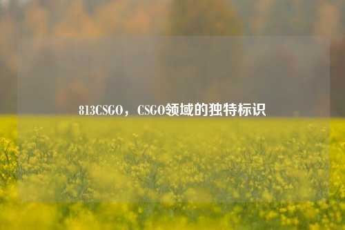 813CSGO，CSGO领域的独特标识