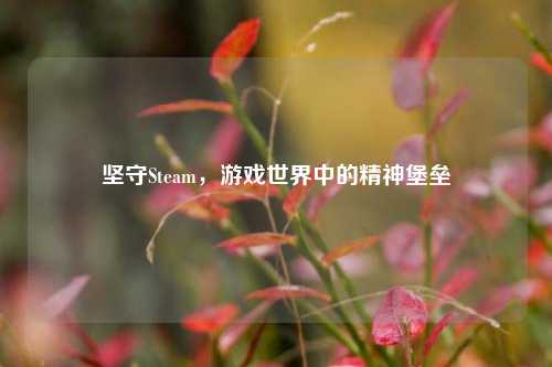 坚守Steam，游戏世界中的精神堡垒