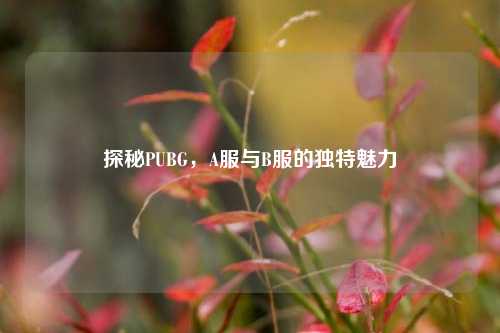 探秘PUBG,A服与B服的独特魅力