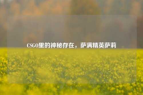 CSGO里的神秘存在，萨满精英萨莉