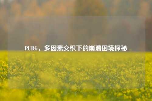 PUBG,多因素交织下的崩溃困境探秘