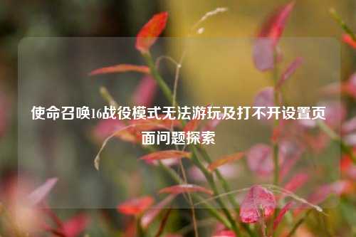 使命召唤16战役模式无法游玩及打不开设置页面问题探索