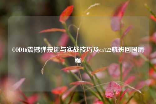 COD16震撼弹按键与实战技巧及ca722航班回国历程