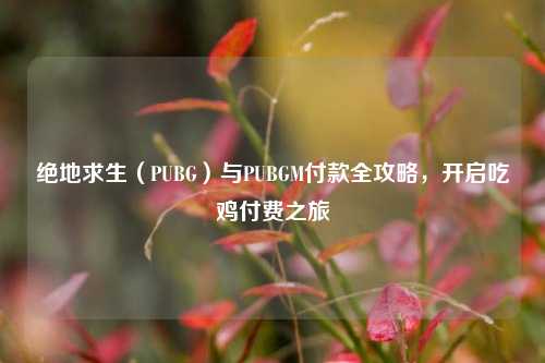 绝地求生（PUBG）与PUBGM付款全攻略，开启吃鸡付费之旅