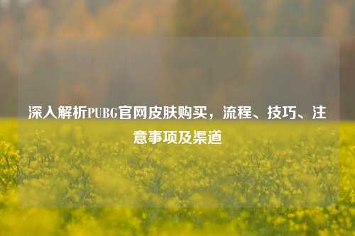 深入解析PUBG官网皮肤购买，流程、技巧、注意事项及渠道