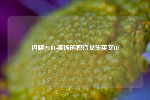 闪耀PUBG赛场的独特女生英文ID